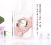 Popular and Leather Luminous Quartz Purple Girls' Watch, Cute, Band, Movement,