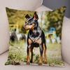 Doberman Pinscher Cushion Cover Both Sided Print Decor Pet Dog Animal Pillow Case for Car Sofa Home Soft Plush Throw Pillowcase