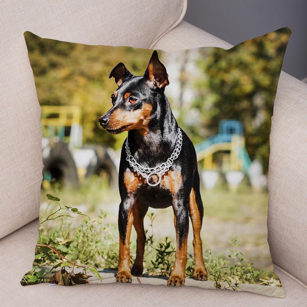 Doberman Pinscher Cushion Cover Both Sided Print Decor Pet Dog Animal Pillow Case for Car Sofa Home Soft Plush Throw Pillowcase