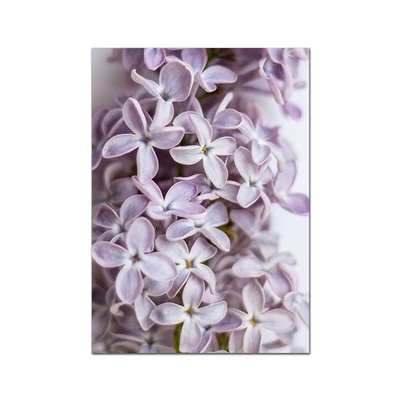 

Сиреневый цветок постер ботаническая картина на холсте скандинавский натуральный принт современные настенные художественные картины для гостиной домашний декор 40X50cm No Frame