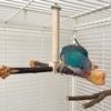 Parrots Grinding Scratchers Perch Bird Rotating Wood Stand Cage Toy Stick Rack Toy Grinding Perch Supplies