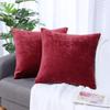PiccoCasa Cushion Covers, Chenille, Set of 2, Water-Repellent, Scandinavian Style, Stylish, Hidden Zipper, Sofa Back Cover, Decorative Square Pillowca