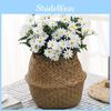 Flower Bouquet Chrysanthemum For Home Decor Creative Photography Props