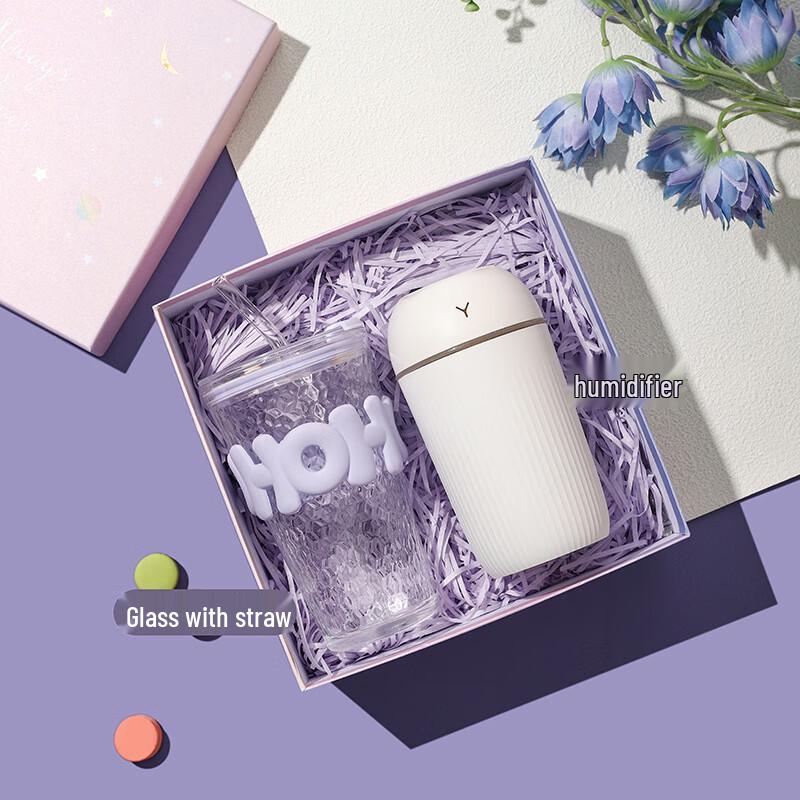 Portable Glass Cup & Humidifier Gift Set