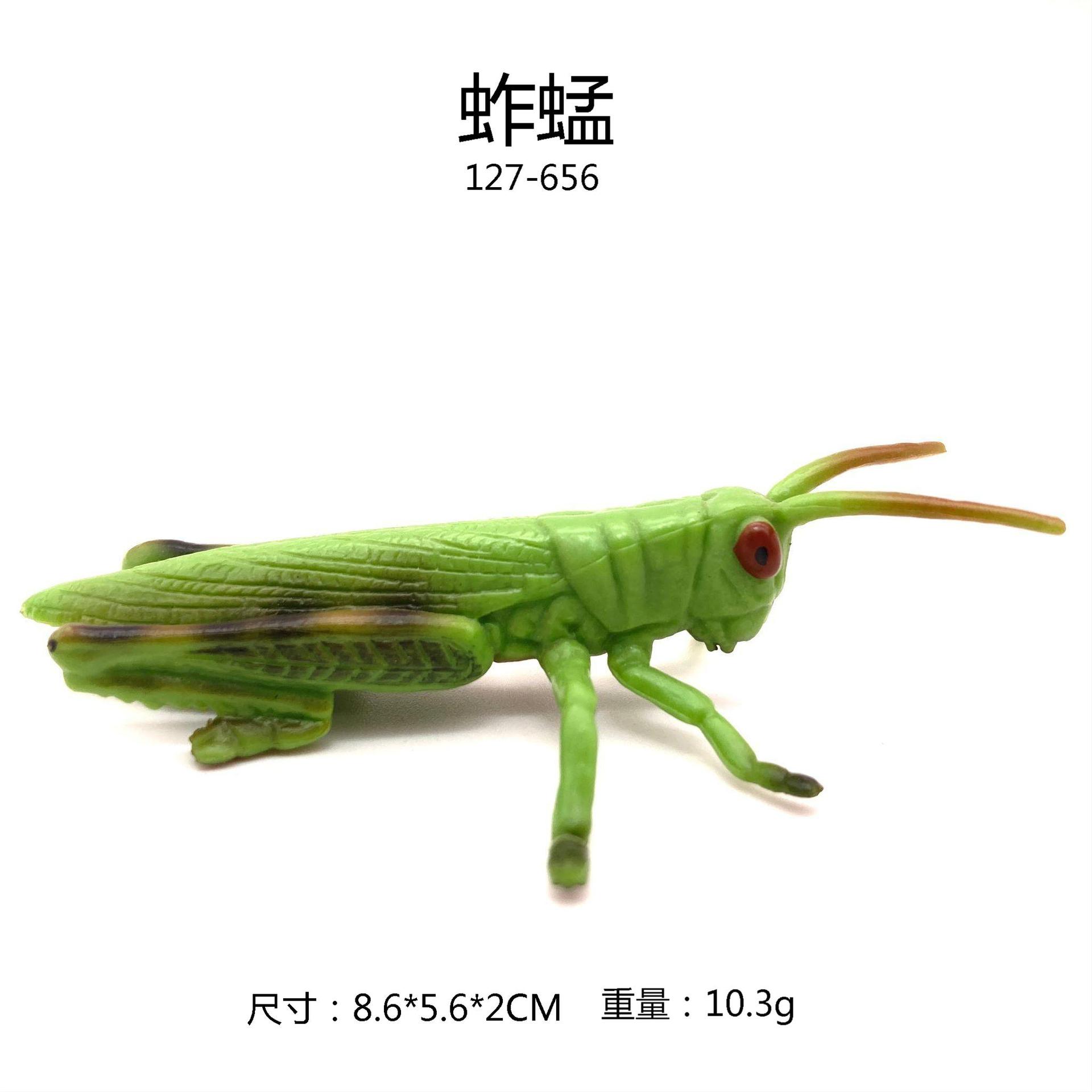 Realistic Solid Lizard, Gold Turtle, Peacock Spider, Orchid Mantis, Fly, Shield Bug Model Toys for Collection and Decoration