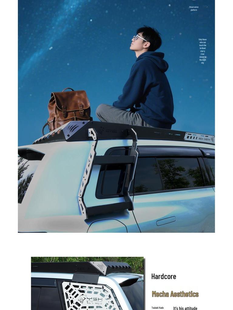 Equation Leopard Titanium 3 Black Panther Car Roof Rack with Side Ladder and Armor.