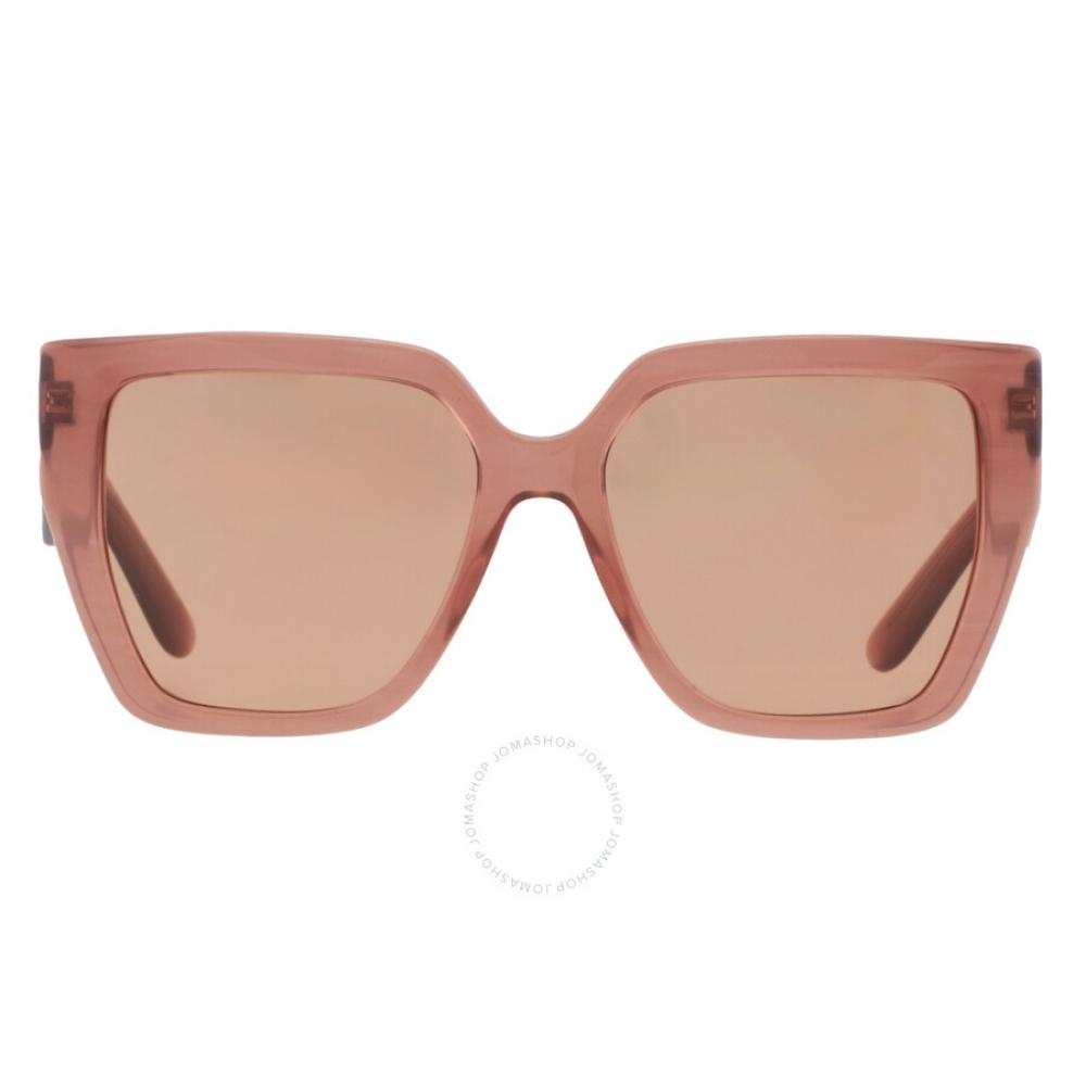 

Dolce Gabbana Dark Brown Butterfly Ladies Sunglasses DG4438 3411 3 55
