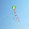 Long-Tail Soft Octopus Kite