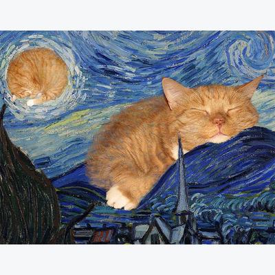 Sternennacht Van Gogh Kunst Katze voller Bohrer Diamant Malerei Stickerei voller runder Tier Kreuzstich
