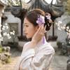 Vintage Chinese Style Purple Plush Flower Tassel Hair Clips 1 Pair Faux Rabbit Fur Hairpins with Strong Alloy Spring for Hanfu