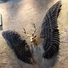 Industrial Wrought Iron Wings Wall Art: Retro Bar Photo Background Decor