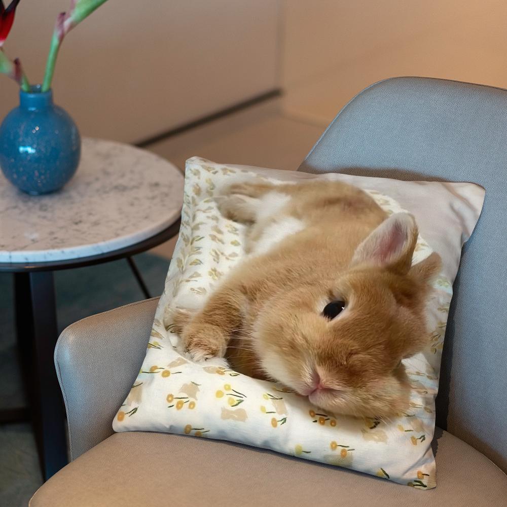 Подушка-чехол для кролика породы Нидерландский карликовый 2-в-1 Двусторонняя плюшевая наволочка | Для автомобиля/дивана/кровати | Идеальный подарок 12x12Inch