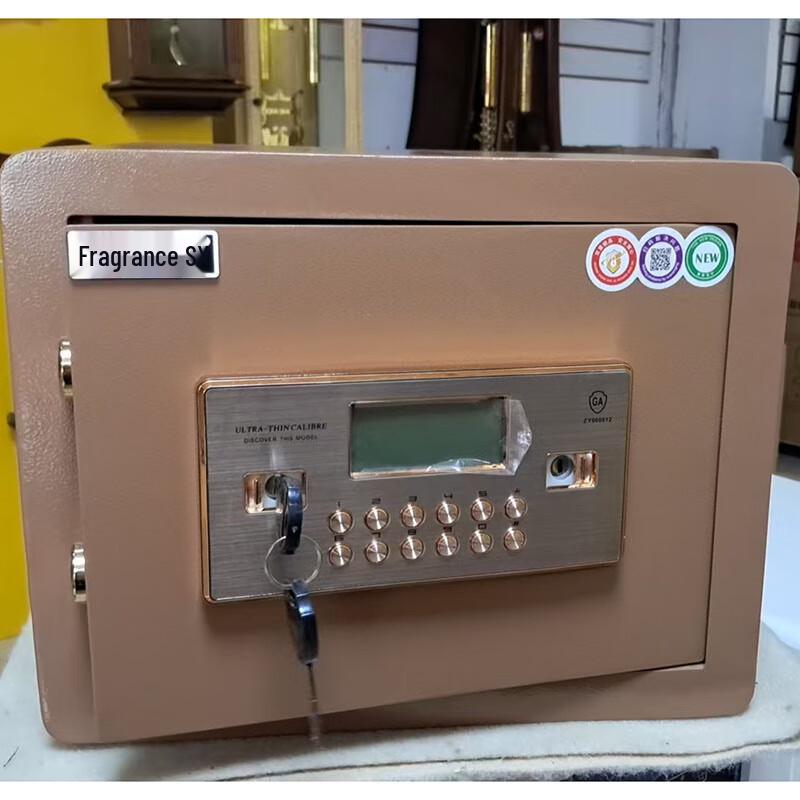 Tianque Compact Digital Safe with Dual Locks
