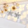 New Product Star Light Luxury Diamond High-end Five-pointed Star Earrings Fashionable Exquisite Versatile Earrings for Women