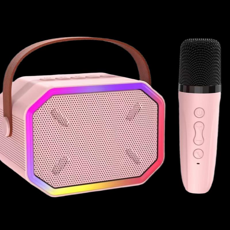 Portable Karaoke Bluetooth Speaker with Dual Microphones CN Plug (adapter Included)