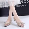 Fashion 2025 Summer Women's Transparent Shoes Female Breathable Mesh Sandals Woman Party Sequins Low Heels Women Silver Big Size Sandals