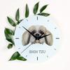 Shih Tzu, Chrysanthemum Dog – Geometric wall clock with a picture and the brand name Art-Dog | Art-Dog
