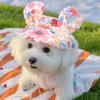 Rainbow Dog Princess Hat Visor Hat Prevent Suffocation Pet Dog Porous Sun Hat Cap With Ear Holes for Small Dogs Cats