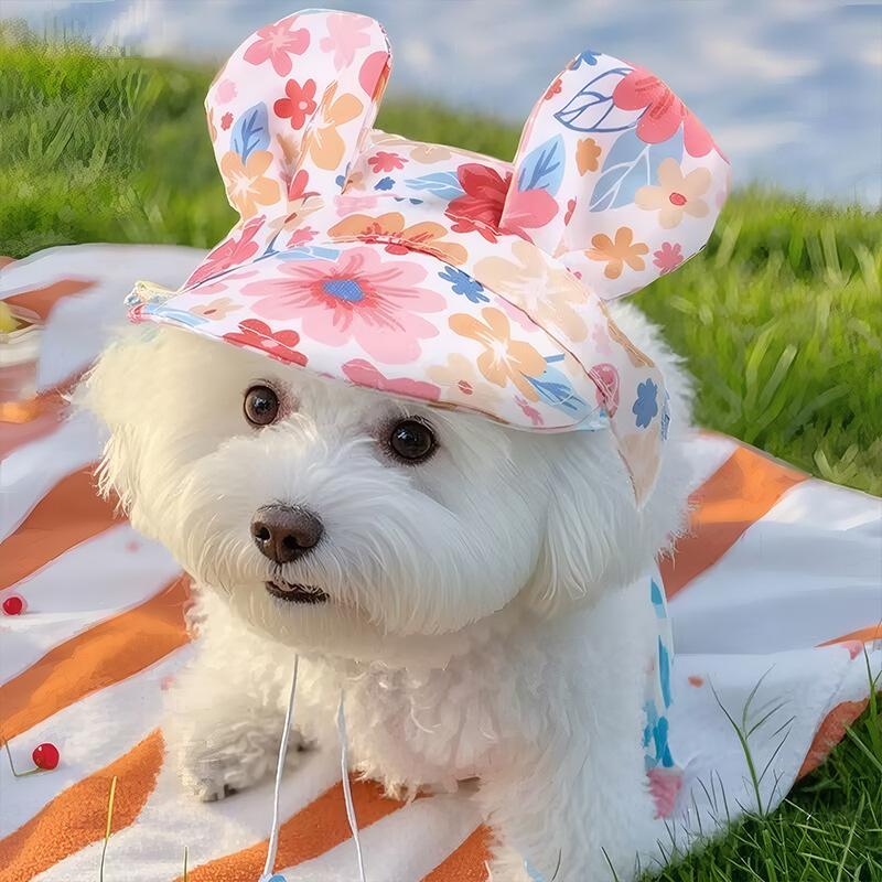 Rainbow Dog Princess Hat Visor Hat Prevent Suffocation Pet Dog Porous Sun Hat Cap With Ear Holes for Small Dogs Cats