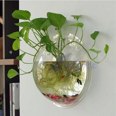 Pecera de acrílico transparente para pared, para acuario, para colgar en la pared, para plantas de pared
