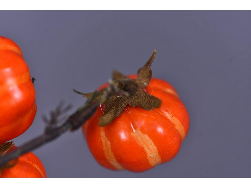 Artificial Small Pumpkin and Berry Branch Decoration for Hotels and Banquets