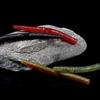 30Pcs Soft PVC Stick Baits Artificial Soft Fishing Lures With Salt Plastic Earthworm Fishing Baits Fishing Accessories
