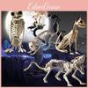 Pachet Decorațiuni Schelete Animale Halloween Cu Șobolani Pisici Câini Păsări Pentru Casă Bântuită