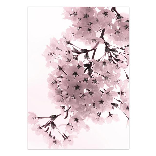 

Вишневый цвет, розовый цветок, настенное искусство, скандинавские постеры и принты, цитаты, холст, живопись, настенные панно для гостиной, домашний декор 21cm×30cm NoFrame