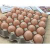 Puntos Kids 6Pcs Simulation Artificial Egg Easter DIY Painting Crafts Pretend Play Toy