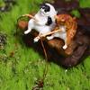 Cat Hanging Decoration Aquarium Tanks Decor Bonsai Miniature Figurines Fish Tank Ornaments Kitten Fishing Ornament Cat Statue