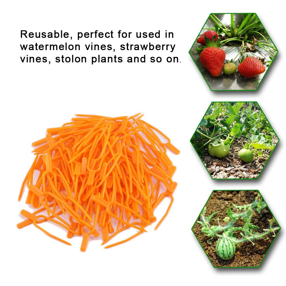 100Pcs Garden Plant Fixing Clips Resusable Stolon Melon Vines Securing Fixer Tool