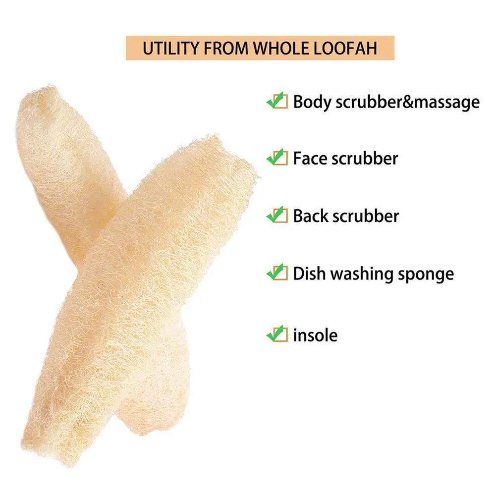 Vollständiger Luffa Natürlicher Peeling-Biologisch abbaubarer Schwamm Zellulose Dusch-Schrubber für Küche Bad