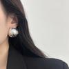 Three-Dimensional Spherical Stud Earrings, Metal Fragments, Texture Earrings, Niche, Cold And Shiny, Light Luxury, High-End And Unique.