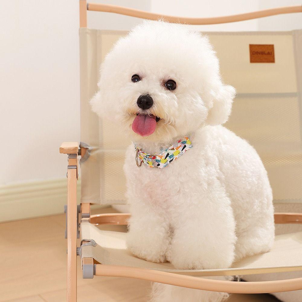 Flower Print Dog Collar Leash Set Adjustable Pet Collars Combo  Small Medium Large Dogs