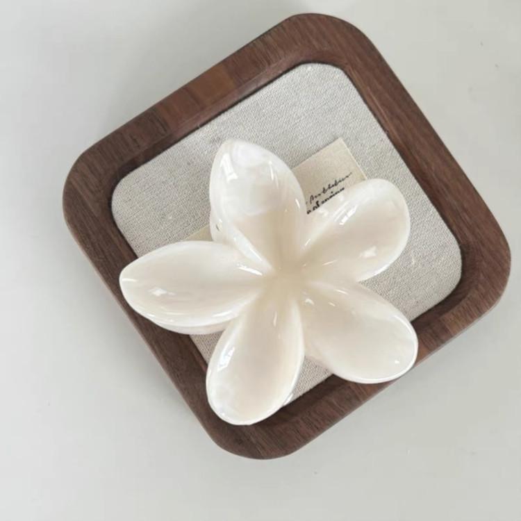 2024 Elegant Claw Clip for Women - Versatile Autumn/Winter Updo Hairpin