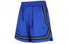 Nike Casual Shorts Women's Blue Moderate CK6600-463