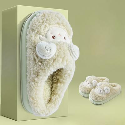 Slippers Bag and Fleece Indoor Cotton Shoes