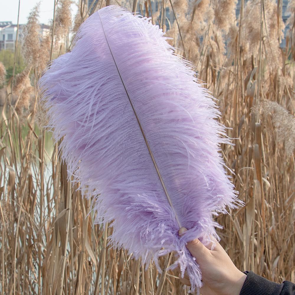 10 buc Pene Naturale de Struț Vrac 15-50cm Pană pentru Meșteșuguri pentru Petrecere Nuntă Decor Acasă Centrul Mesei Decorare Bijuterii