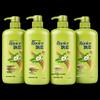 Daily Care Oil Control Refreshing Shampoo