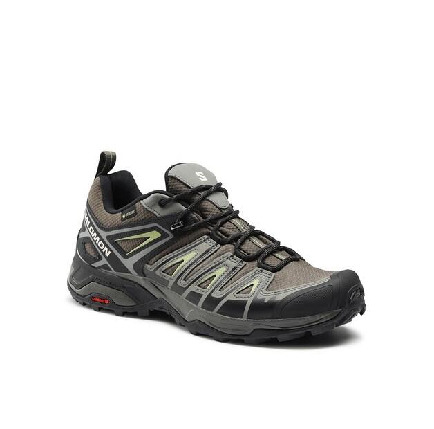 

Треккинговая обувь Salomon Trekkingi X Ultra Pioneer GORE-TEX L47196700 Szary