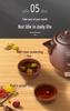 Automatic Purple Clay Herbal Medicine Stew Pot with Constant Temperature Control