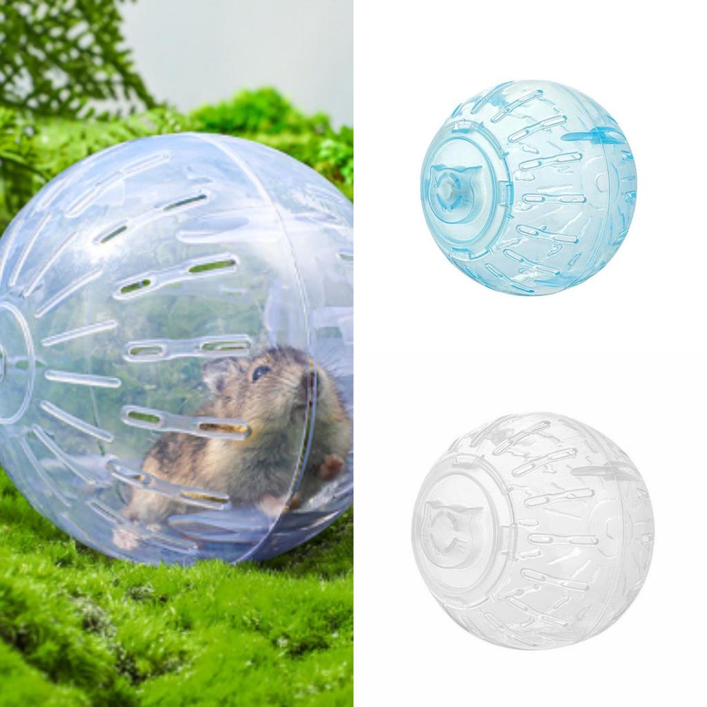 Mingie de exerciții pentru hamster cu roată de alergare, versiune de 10 inci pentru animale mici