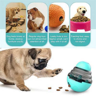 Köpek – Köpek Besleme ve Sulama Malzemeleri