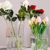 Modern Flower Vase Acrylic Deep Water Flower Pot Household Flower Wake Up Vase  Home Decoration