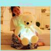 50cm Plush Led Teddy Bear With Colorful Glowing Lights For Magical Nights