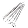 5pcs Professional Oral Health Care Pick Tools Stainless Steel Teeth Cleansing Calculus Remover Tool for Dentist