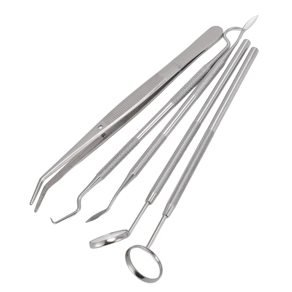5pcs Professional Oral Health Care Pick Tools Stainless Steel Teeth Cleansing Calculus Remover Tool for Dentist