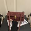 Deerskin Fleece Lock Largecapacity New Winter Beautiful Fashion Single Shoulder Underarm Small Square Bag Women