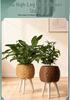 Triangular Faux Rattan Flower Stand - Desktop Succulent Holder and Decorative Straw Woven Pot