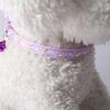 New Pet Dog Collar with Star Moon Pattern Gold Plated Buckle and Bell for Cats Dogs  Dog Harness and Leash Set Dogs Accessoires